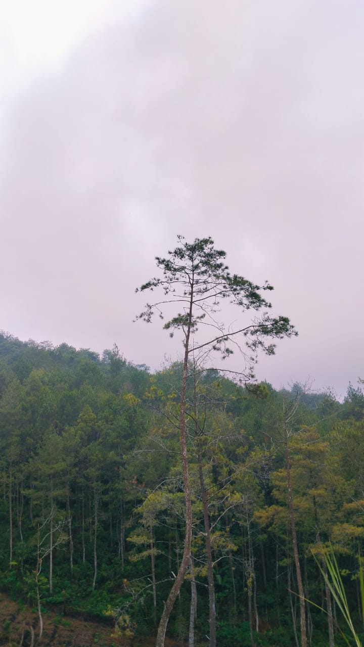 Foto lokasi Rumah-Lamongan