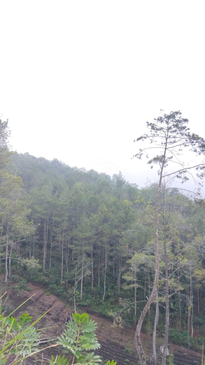 Foto lokasi Rumah-Malang