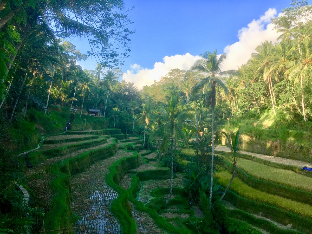 Foto lokasi WaterSensor-Bali